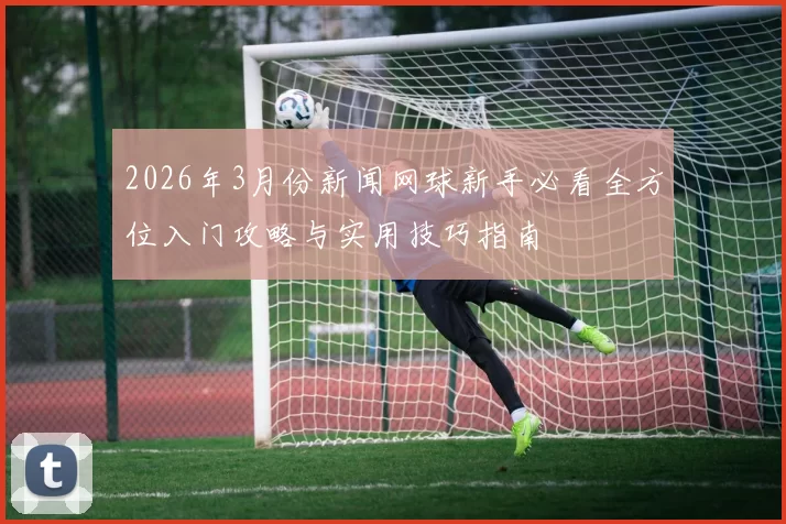2026年3月份新闻网球新手必看全方位入门攻略与实用技巧指南