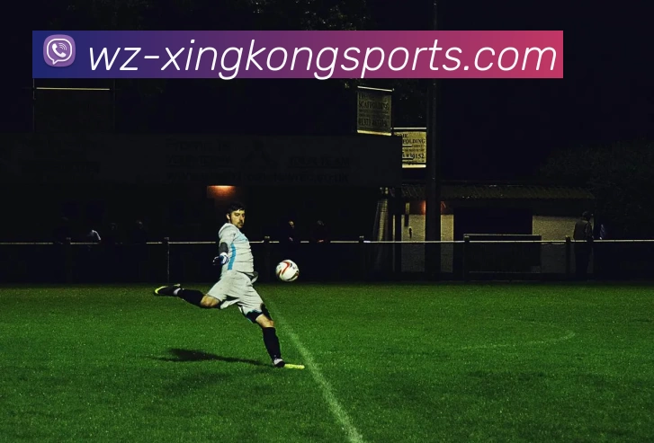 星空体育app发展历程